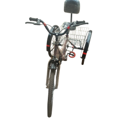 Adult Tricycle with Basket