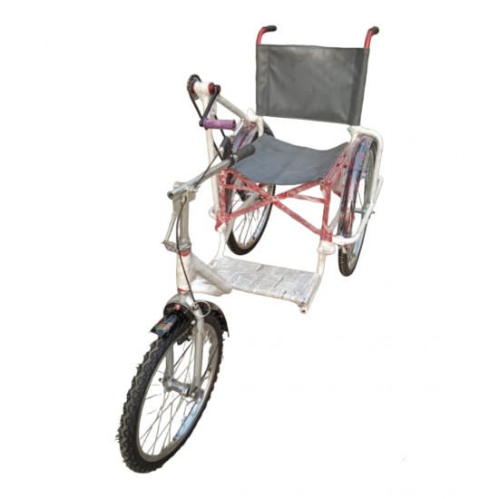 Folding Handicap Tricycle