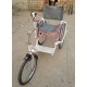 Folding Handicap Tricycle