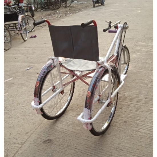 Folding Handicap Tricycle