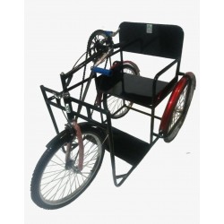 Hand Operated Handicap Tricycle