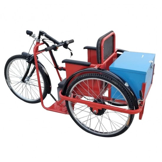 ISI Mark Battery Operated Tricycle for Divyang