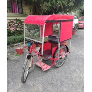 Self Employment Battery Operated Tricycle for Divyang Self Employment Battery Operated Tricycle for Divyang